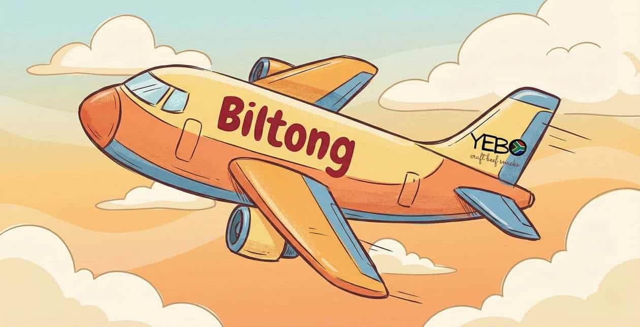 Biltong Is the Perfect Travel Fuel. A Cartoon plane with 'Biltong' branding
